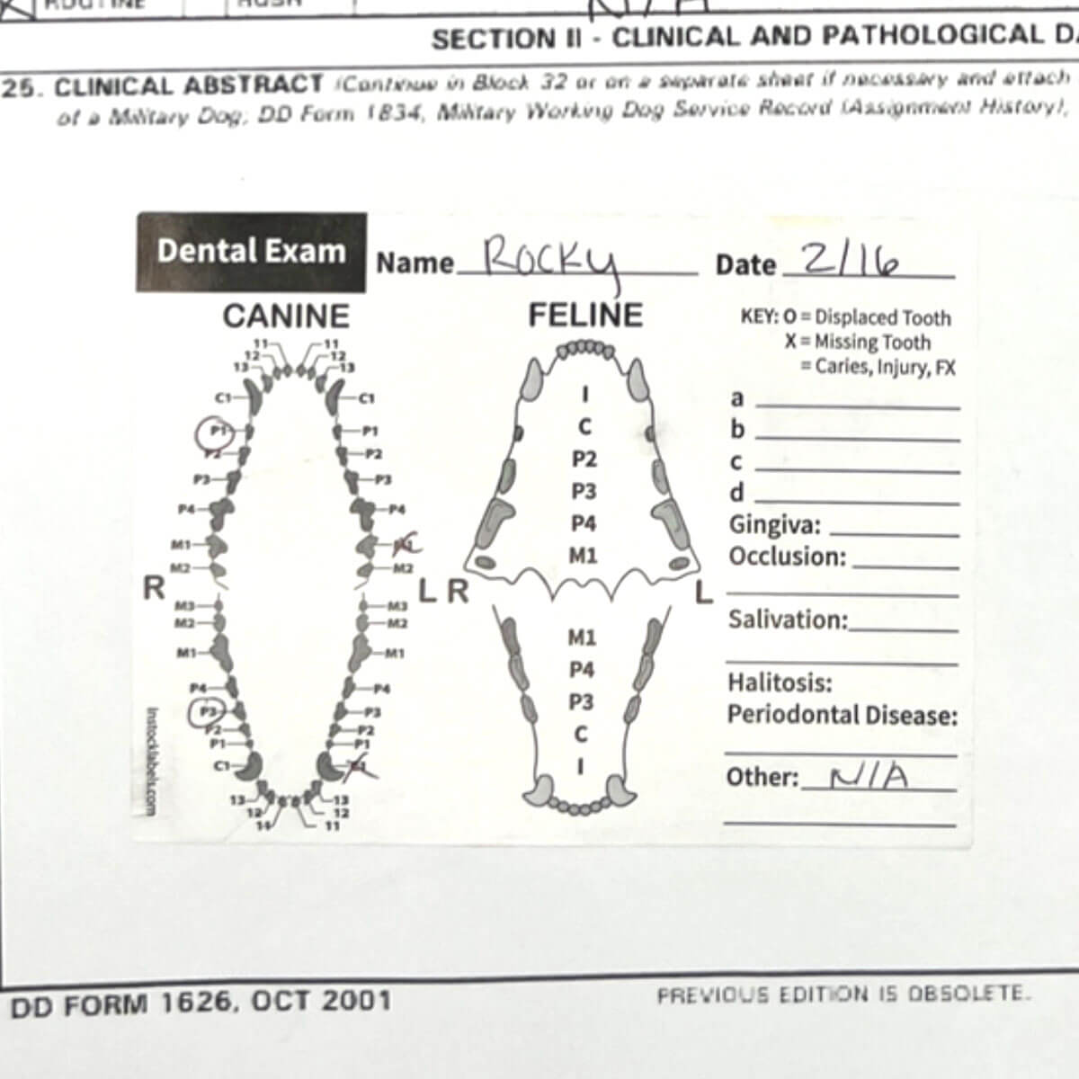Canine and Feline Dental Exam Labels | 3" x 4" QTY 500