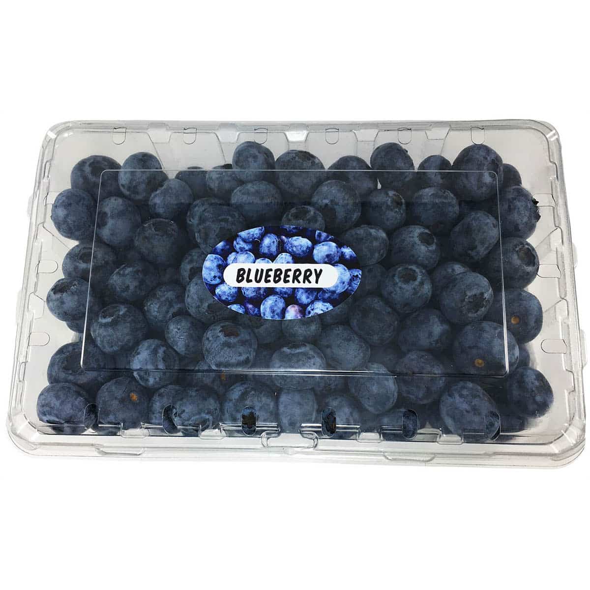 Blueberry Labels with Real Image QTY 500