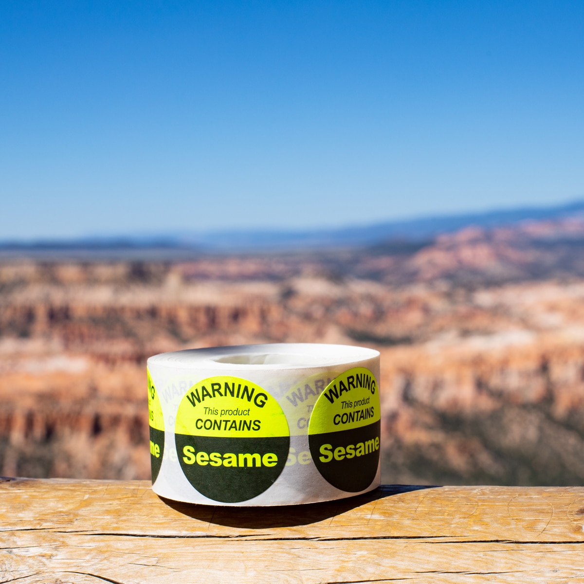 This Product Contains Sesame Allergy Warning Labels QTY 500 This Product Contains Sesame Allergy Warning Labels QTY 500