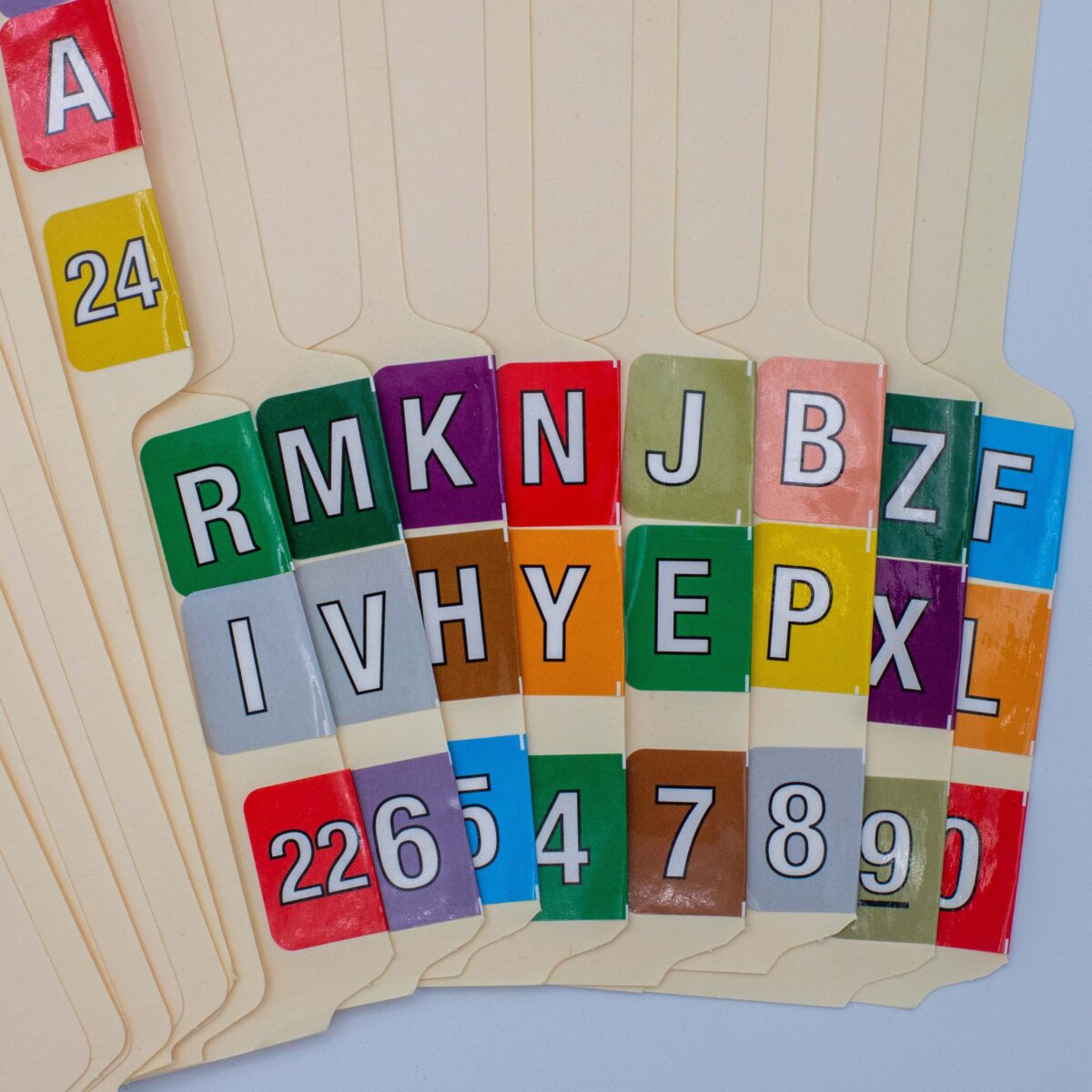 Year 2024 Barkley Compatible Filing Label QTY 500