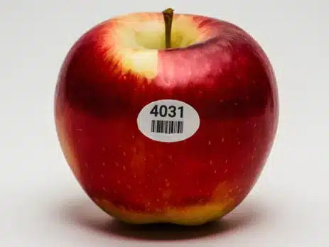 Are Fruit Labels Edible