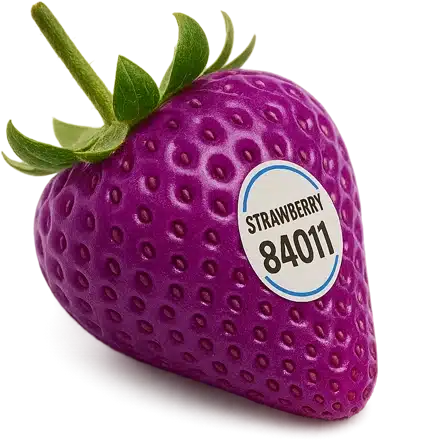 Organic Apple 94011