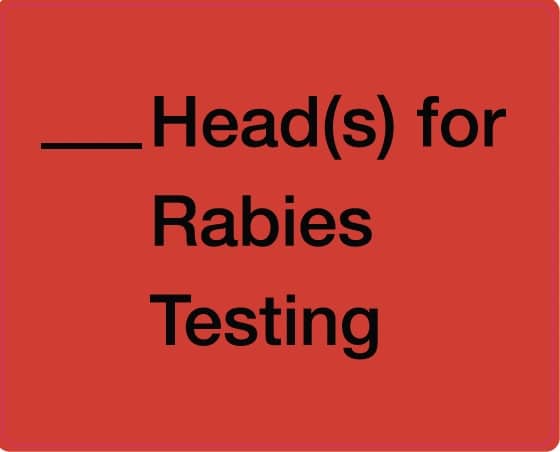 ST Custom | Arlington Animal Services | Head Labels | 5" x 4" RCR | 2000 | Quote 1586293 ST Custom | Arlington Animal Services | Head Labels | 5" x 4" RCR | 2000 | Quote 1586293
